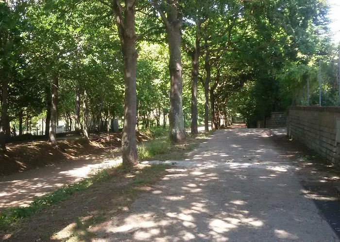 Alloggio Turistico Olmata